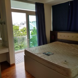Palm Oasis (D15), Apartment #159458422